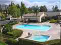 thumb_pool_1